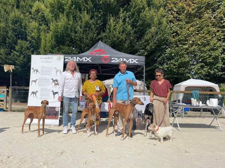 De La Féline Créole - La Nationale d'élevage du Clamed : des résultats appréciés ! 