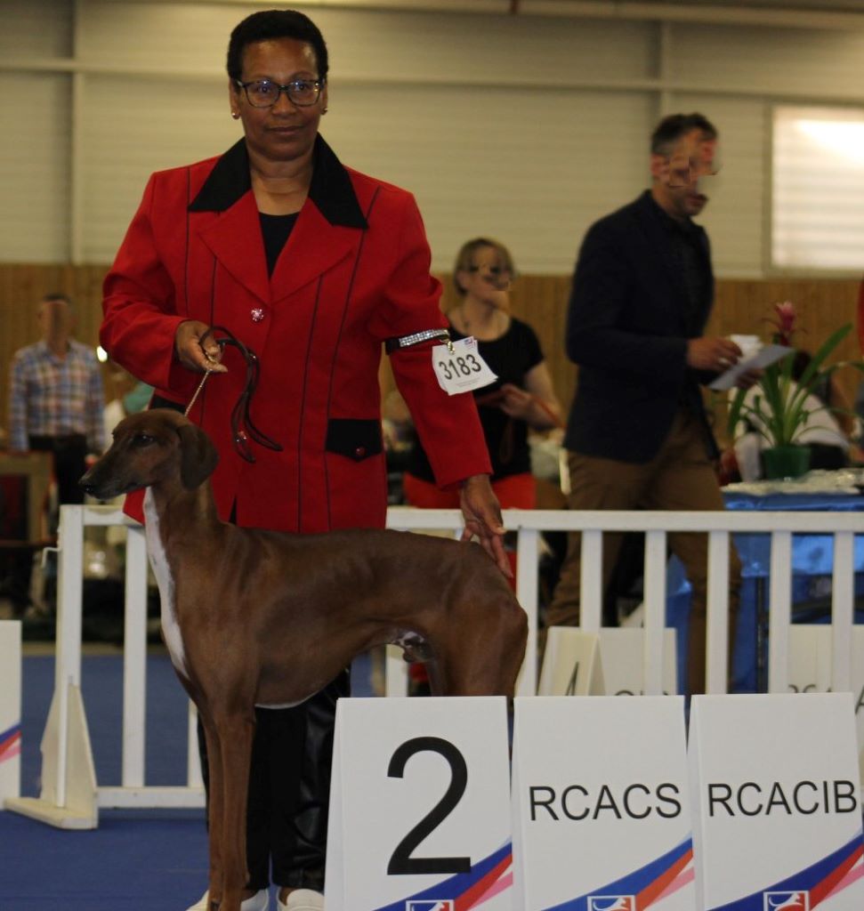 De La Féline Créole - Championnat de France 2018 au Bourget