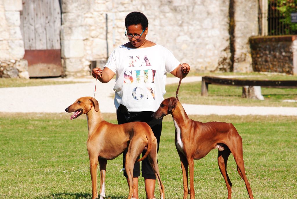 De La Féline Créole - Festival 2018 du Chien de Race à la Grange de Meslay en Touraine